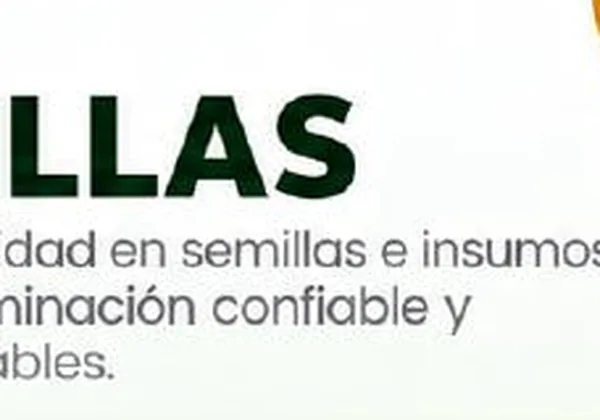 Bandeja germinadora 32 cavidades