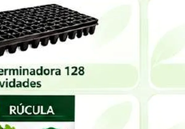 Cilantro Nacional Patimorado, sobre x 5 g