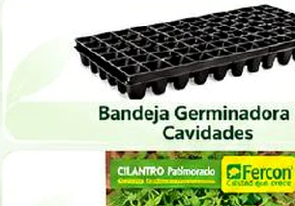 Tomate Cherry Amarillo, semillas x 0,1 g